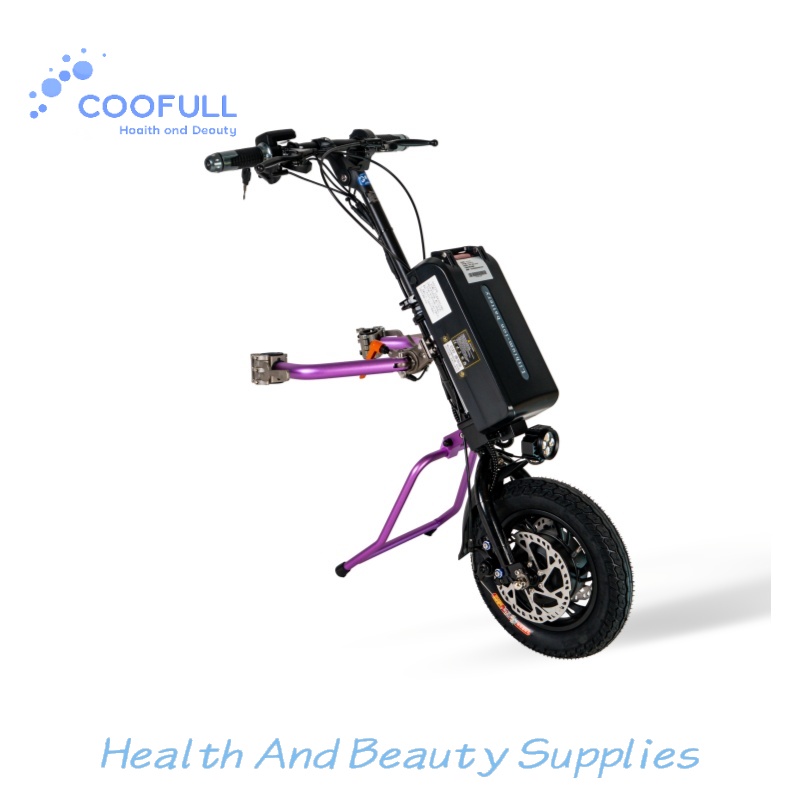 Electrical - Coofull Heibao 350W 48V 15Ah Autonomie